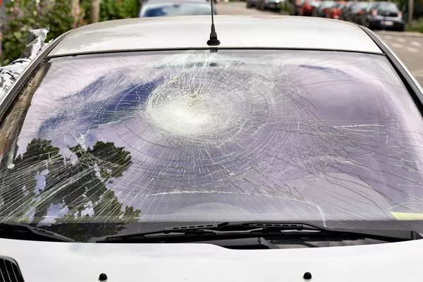 Faire remplacer mon pare-brise suite à un impact causé par une branche, Bergerac, Rapid Pare-Brise